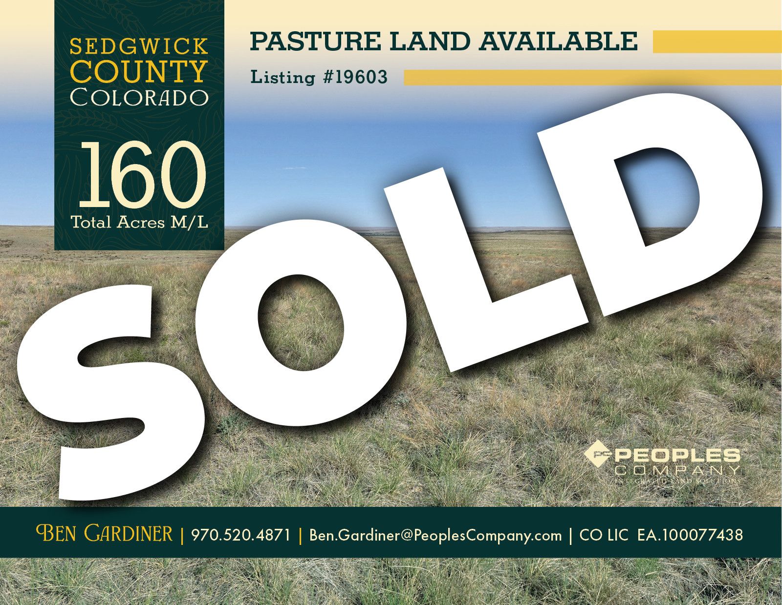 Listing #19603